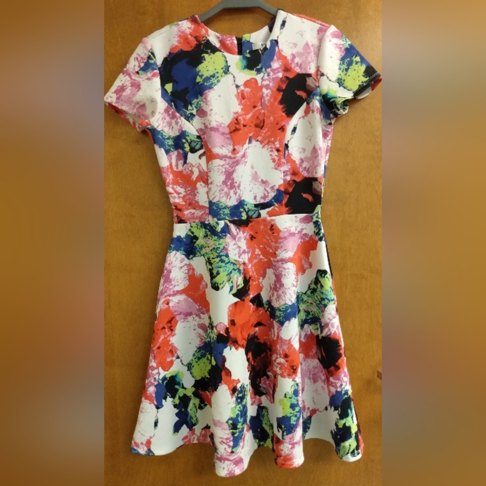 Milly for Design Nation Fit to Flare Floral Dress